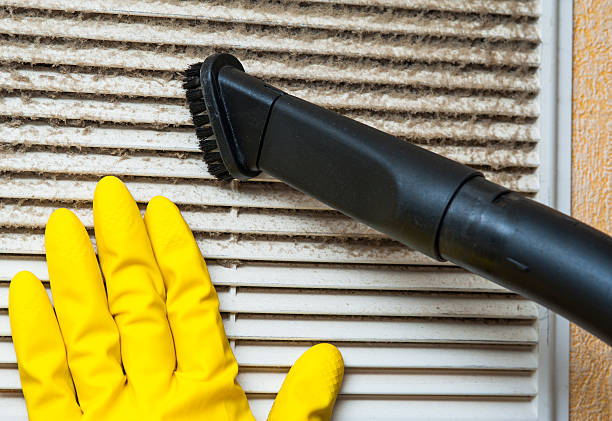 Best HVAC Duct Inspection Services  in Barrington, IL